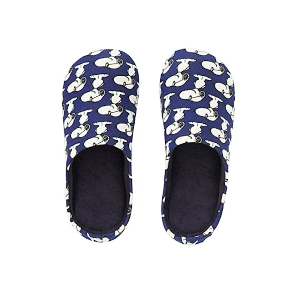 Ltd Edition Uniqlo x Snoopy x Kaws Men’s slippers